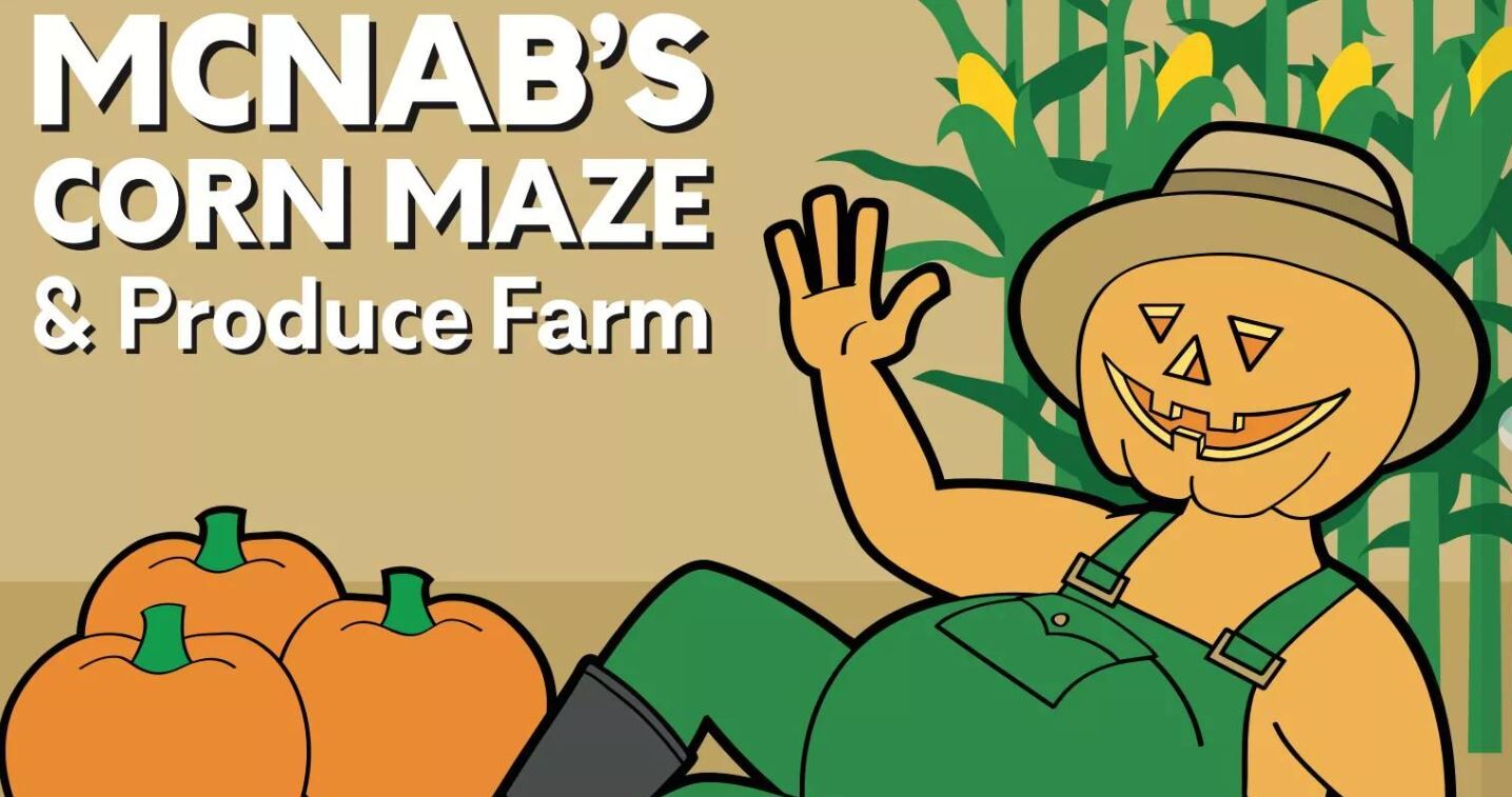 McNab's Corn Maze image