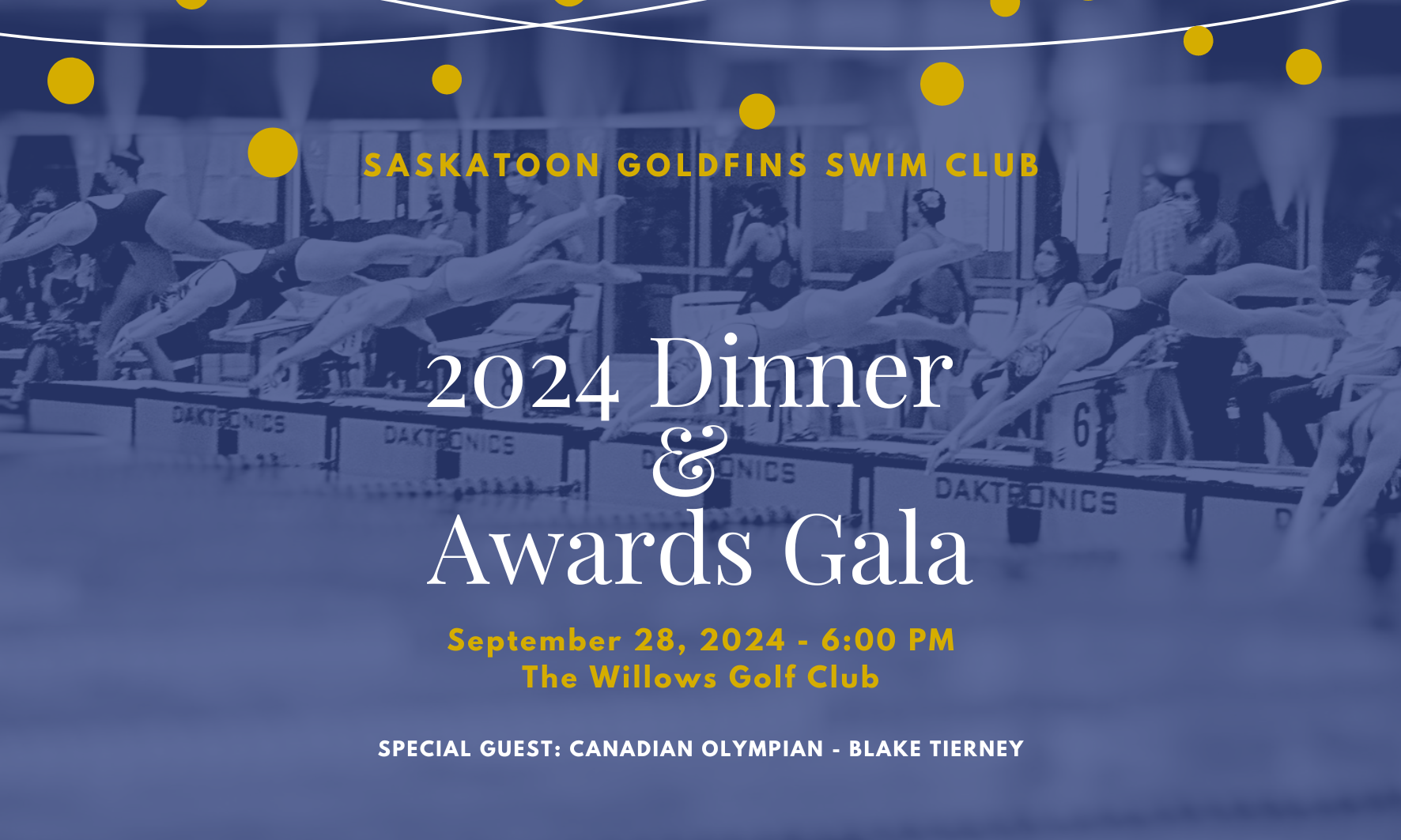 Goldfins Gala and Awards Night image