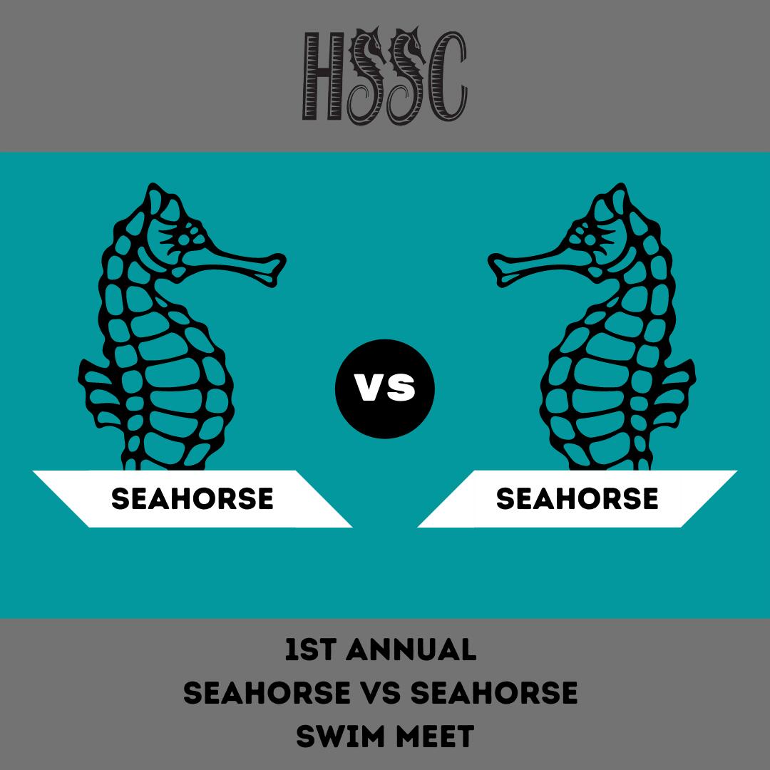 Seahorse vs. Seahorse Meet image