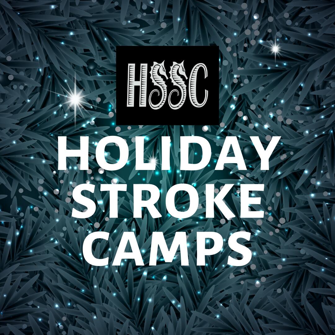 Holiday Stroke Camp - ALL 4 DAYS image