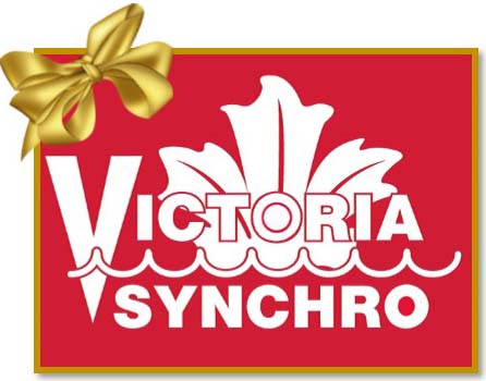  Victoria Synchro Competitive Athlete Celebration & Recognition Banquet image