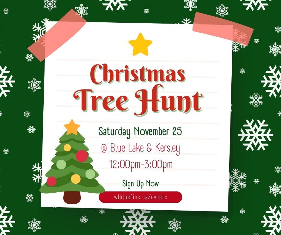 Christmas Tree Hunt image