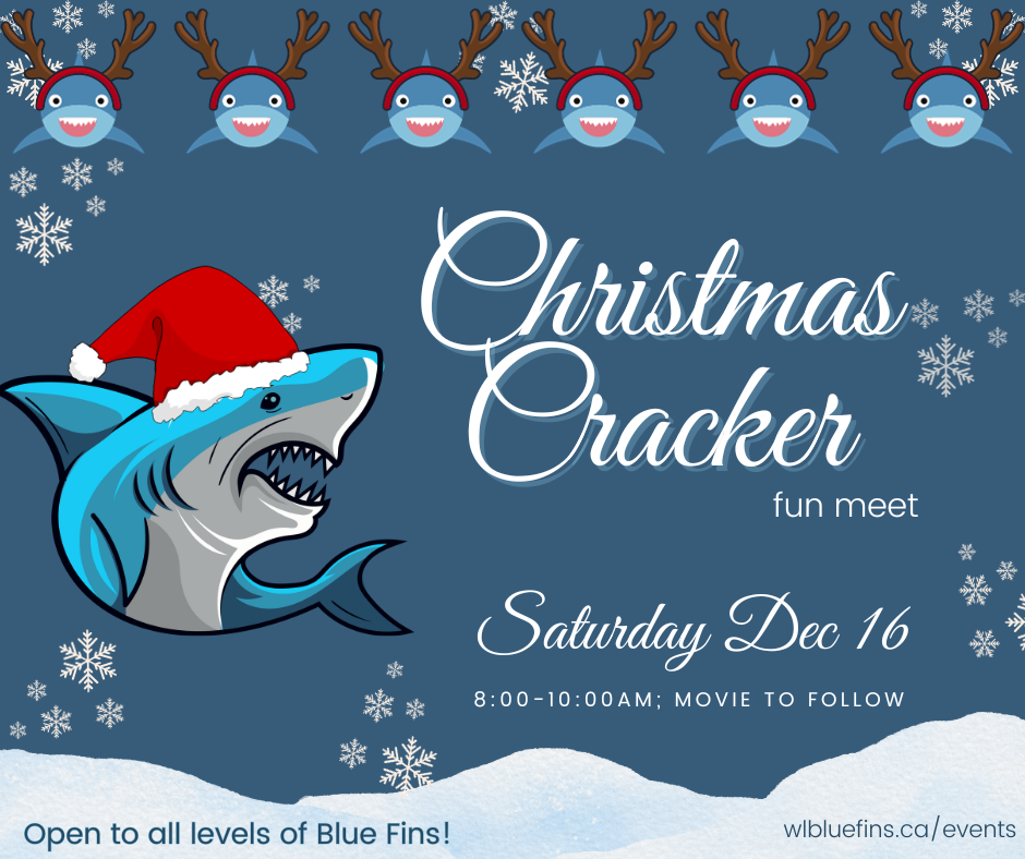 Christmas Cracker Fun Meet image